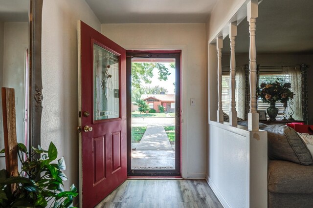 entrance foyer with wood-type flooring