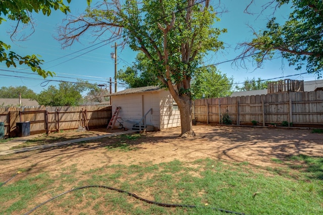 view of yard with a storage shed