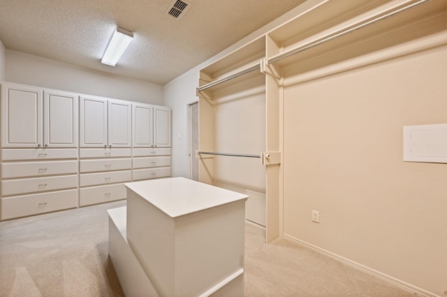 spacious closet featuring light colored carpet