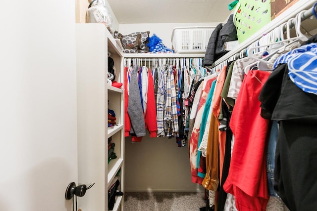 spacious closet featuring carpet flooring