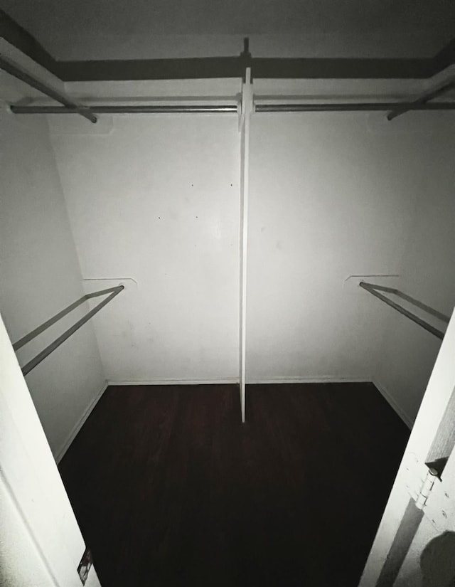 walk in closet featuring hardwood / wood-style flooring