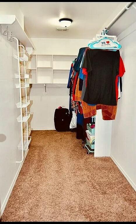 spacious closet featuring carpet floors