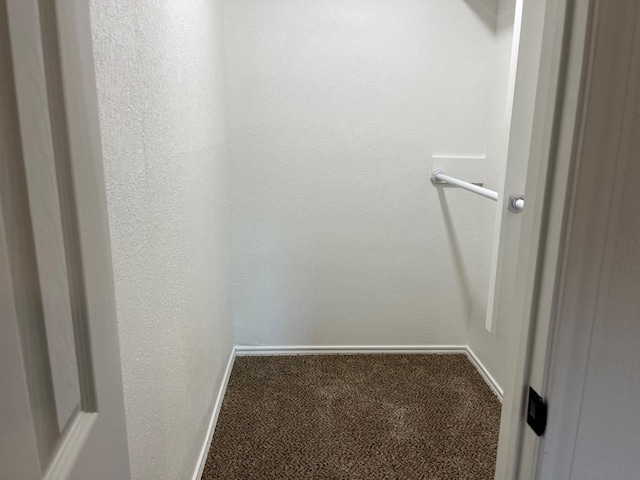 spacious closet with carpet