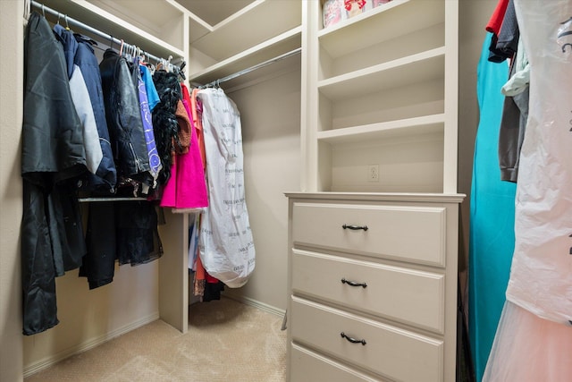 spacious closet featuring carpet