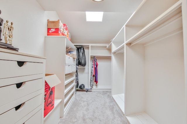 spacious closet with light carpet