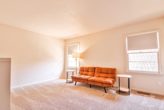 living area with carpet floors