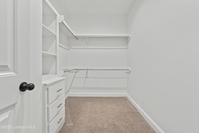 1016 N Genoa Ave, Lubbock, TX 79416 - walk in closet featuring carpet