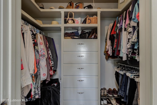 4204 89th St, Lubbock, TX 79423 - view of walk in closet