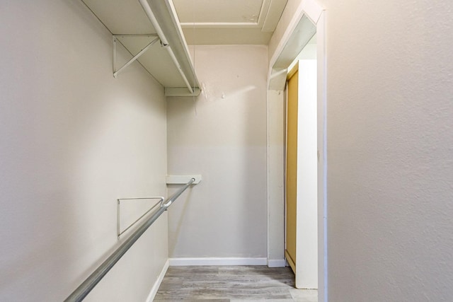 walk in closet with light wood-type flooring