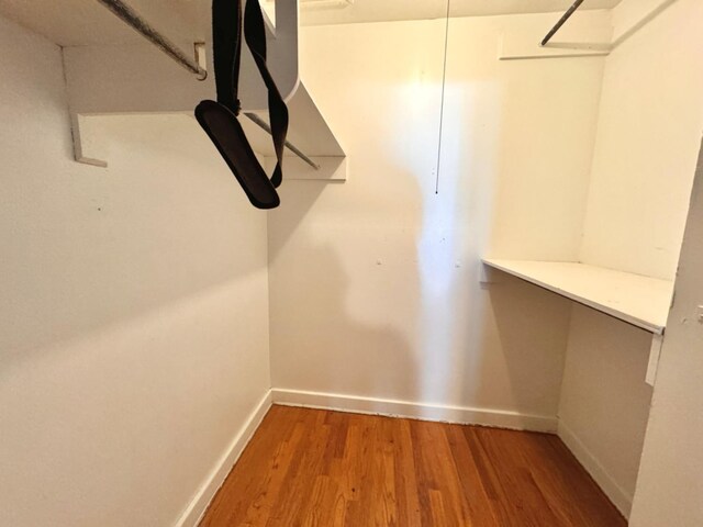 spacious closet with wood-type flooring