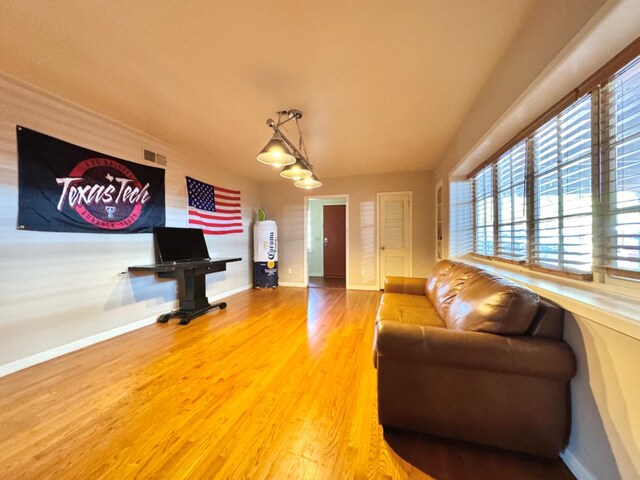 living room featuring wood-type flooring