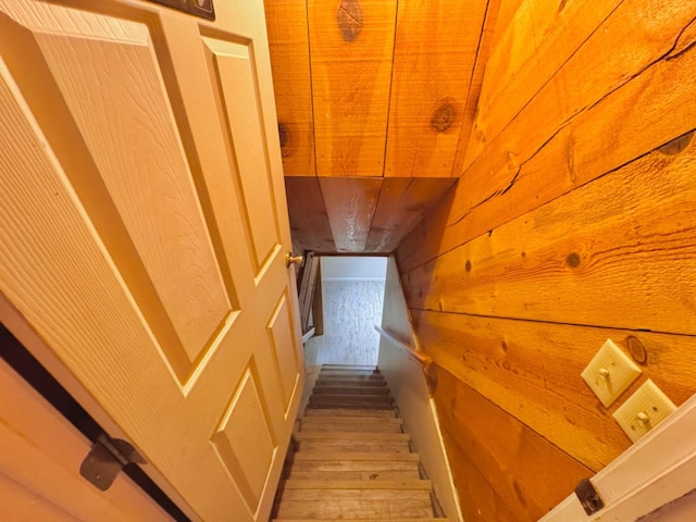 stairs featuring wood-type flooring and wood walls