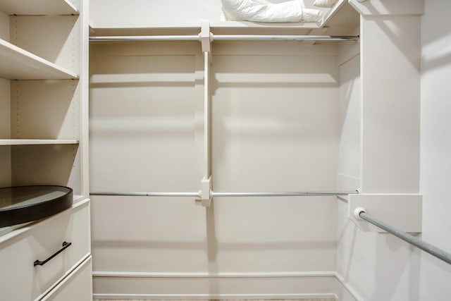 view of walk in closet