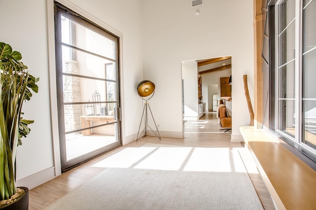 entryway featuring light wood-type flooring