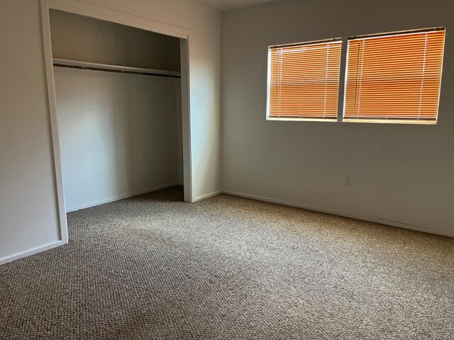 unfurnished bedroom with carpet and a closet