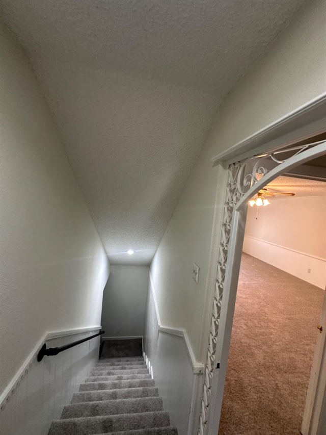 stairway featuring carpet flooring and a textured ceiling