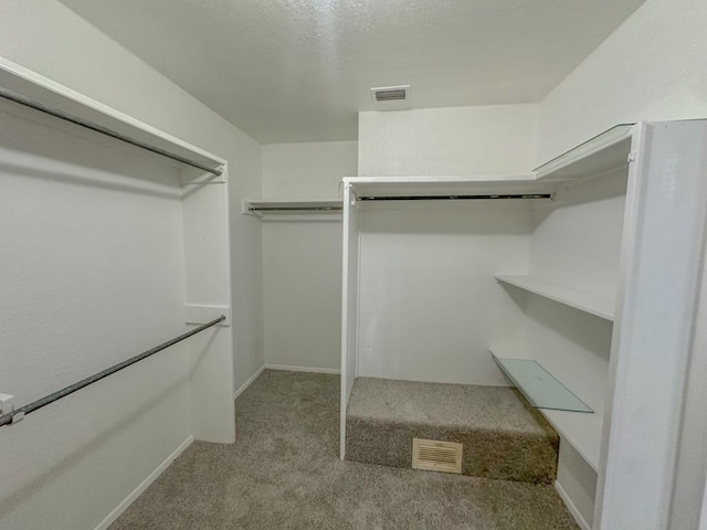 spacious closet featuring light carpet