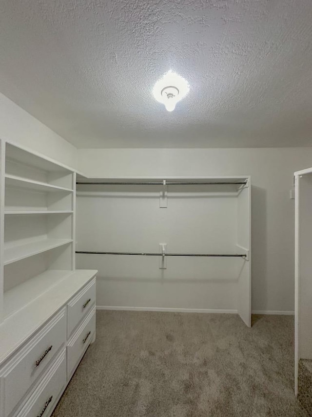 spacious closet with light colored carpet