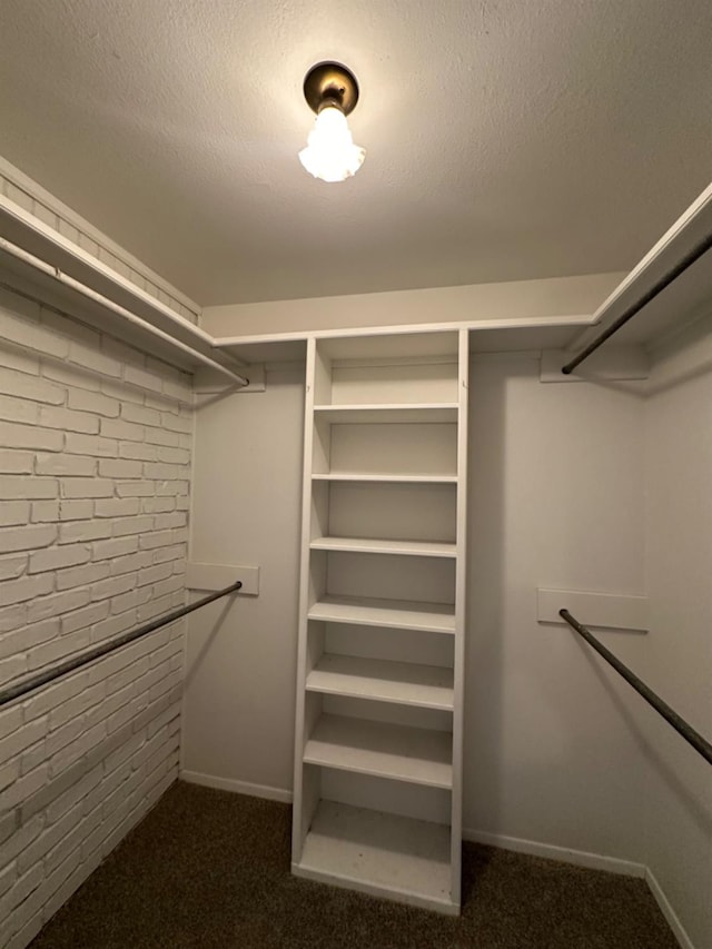 spacious closet featuring dark colored carpet