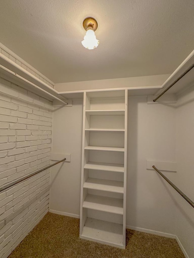 spacious closet featuring carpet flooring