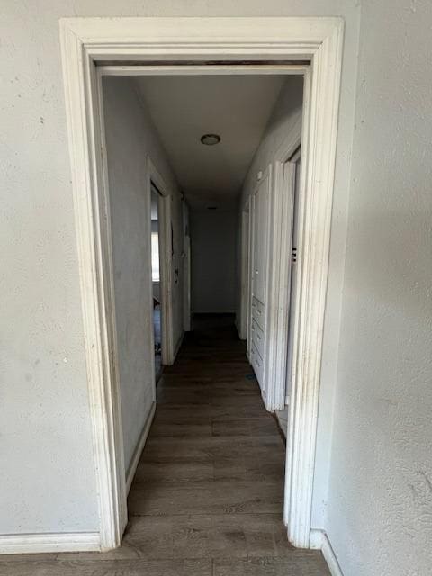 hall featuring dark hardwood / wood-style floors