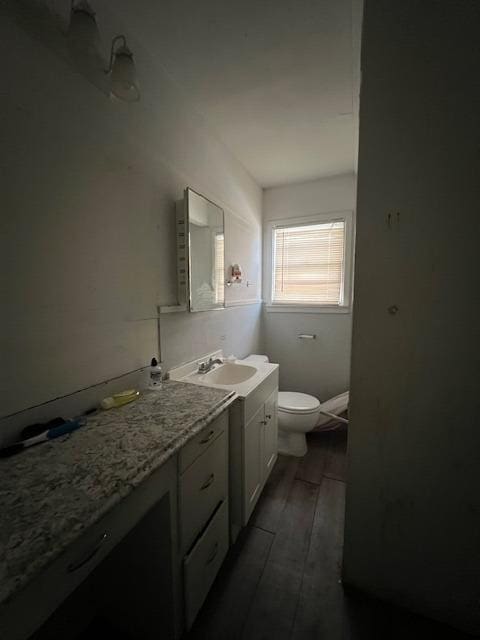 bathroom featuring hardwood / wood-style flooring, vanity, and toilet