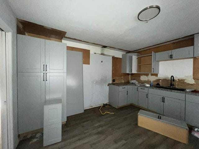 kitchen featuring sink and dark hardwood / wood-style floors