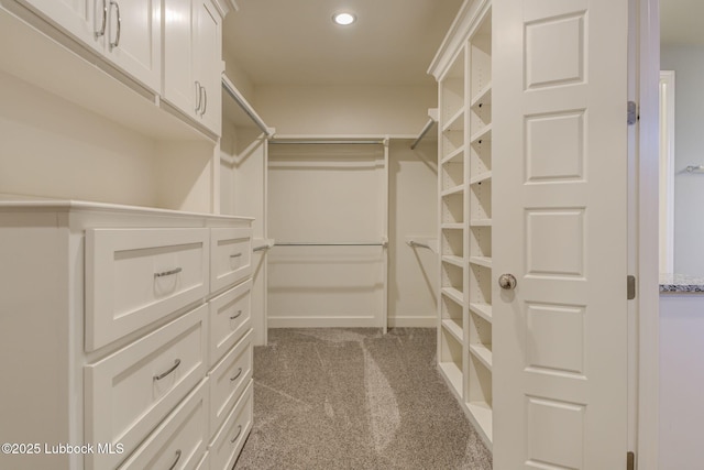 136 Preston Hollow Ln, Wolfforth, TX 79382 - walk in closet featuring carpet floors