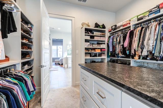 spacious closet featuring light colored carpet