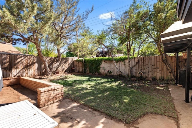 view of yard featuring a patio