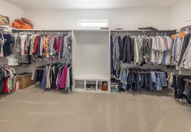 spacious closet with carpet floors