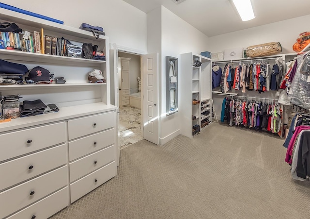 spacious closet featuring carpet flooring