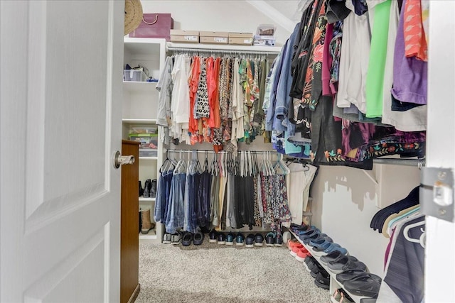 walk in closet featuring carpet flooring