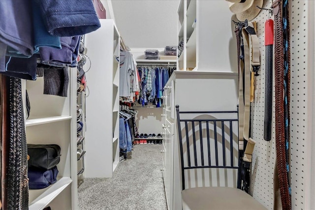 spacious closet featuring carpet floors