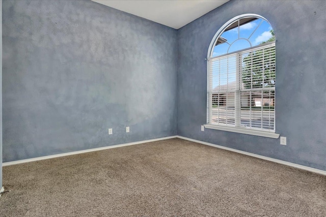 unfurnished room featuring carpet flooring