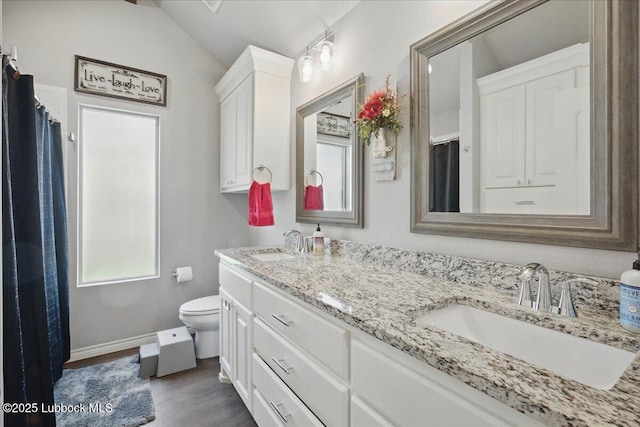 10309 Ave X, Lubbock, TX 79423 - full bath featuring double vanity, toilet, wood finished floors, baseboards, and lofted ceiling