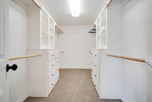 spacious closet featuring light colored carpet