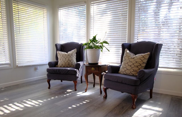 sitting room featuring a wealth of natural light and wood finished floors