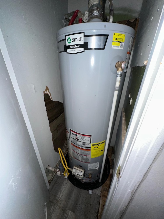 utility room with gas water heater