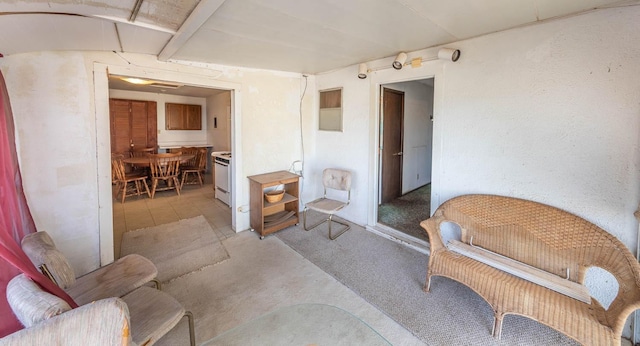 interior space with light colored carpet