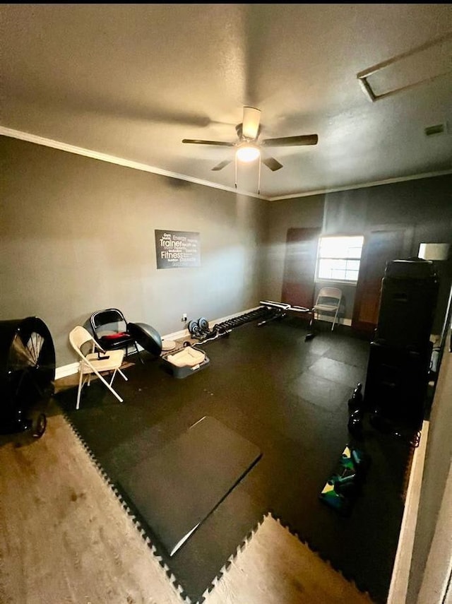 miscellaneous room featuring crown molding and ceiling fan