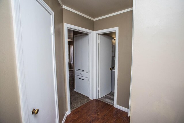 hall featuring ornamental molding and dark hardwood / wood-style flooring