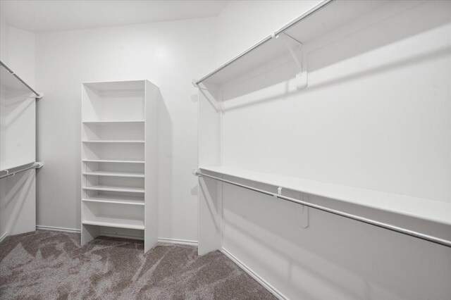 spacious closet featuring dark colored carpet