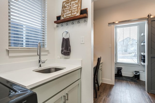 interior space with sink and dark hardwood / wood-style floors