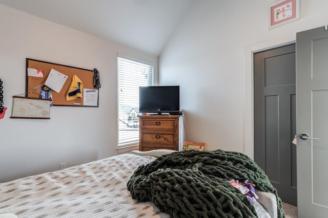 bedroom with lofted ceiling