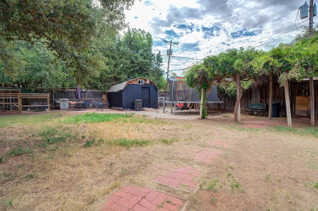 view of yard with a shed and a trampoline