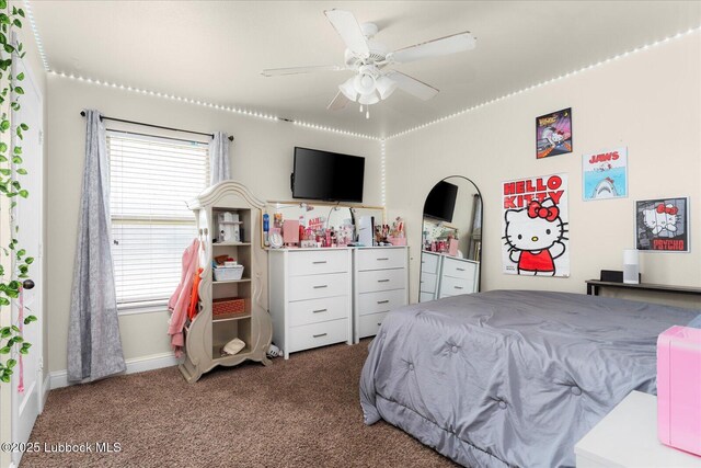12805 Elgin Ave, Lubbock, TX 79423 - photo 20