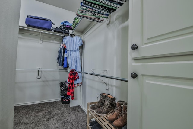 walk in closet featuring carpet floors