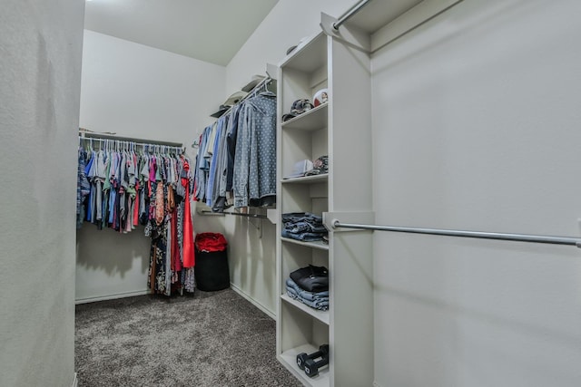 spacious closet with carpet flooring