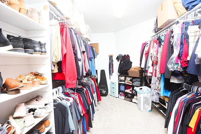 spacious closet featuring carpet floors